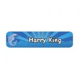 Fab and Funky Iron On Labels