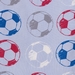 just4kidz-new-football-swatch-small.jpg